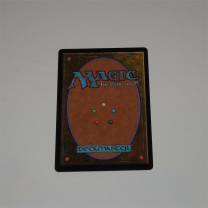 Magic the Gathering Game Card. Misty Rainforest - Image 4