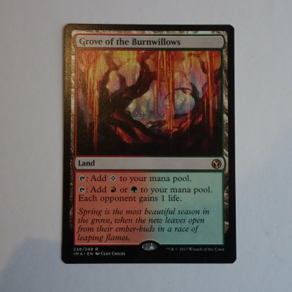 Magic the Gathering Game Card. Grove of the Burnwillows